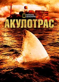 Акулотрас