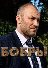 Бобры