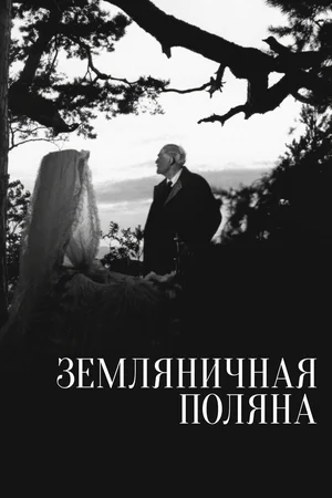 Земляничная поляна